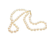 Pearl Choker Necklace