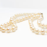 Pearl Choker Necklace