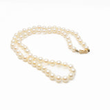 Pearl Choker Necklace